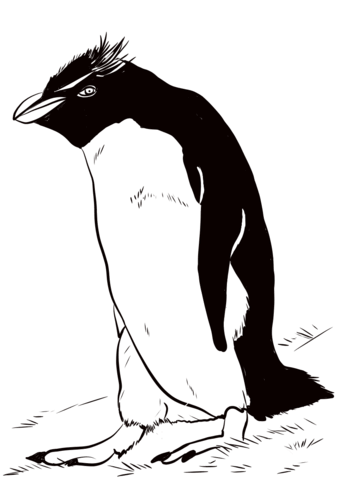 Rockhopper Penguin Coloring Page